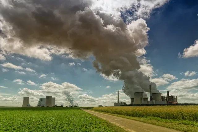 Environmental pollution control consultancy