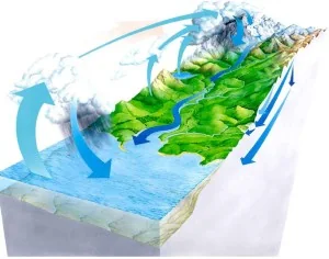 Replenishment study consultancy for riverbed sand mining