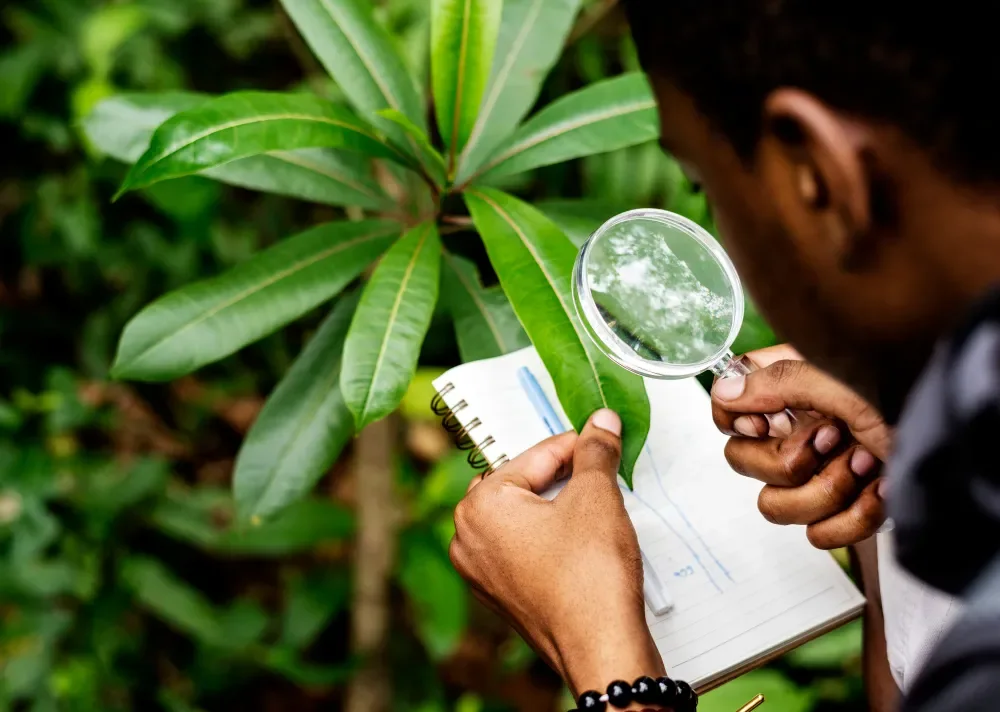 Soil and material testing services